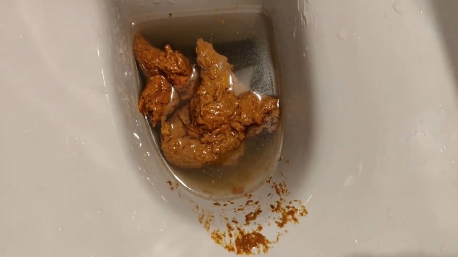 Solo: (AinaraX) - Big Load in the WC [FullHD 1080p] - Piss, Defecation