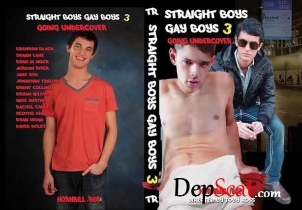 Straight Boys Gay Boys 3 [HD] 1010.2 MB