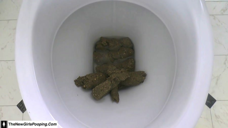 Solo: (ShitGirl) - Toilet Destroyed In 5 Mins [FullHD 1080p] - Scatology, Amateur