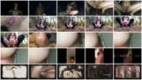 Defecation: (Goddesslucy) - Poop of the day Colorful healthy dump [FullHD 1080p] - Amateur, Solo