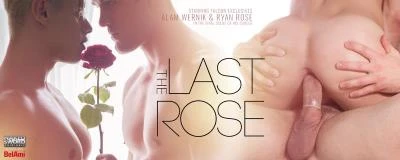 The Last Rose, Scene 4: The Rose Is Key [HD] 946,86 Mb