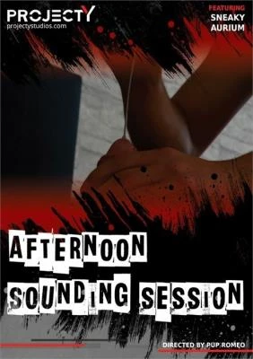 Afternoon Sounding Session [FullHD] 466,88 Mb