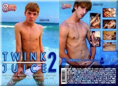 Twink Juice 2 [DVDRip] 877.3 MB