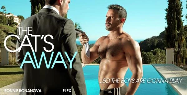 The Cat's Away [HD 720p] 449 MB