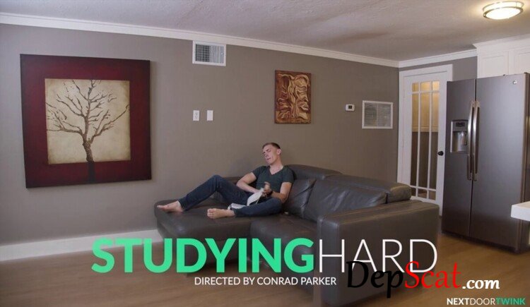Studying Hard [HD 720p] 367.6 MB
