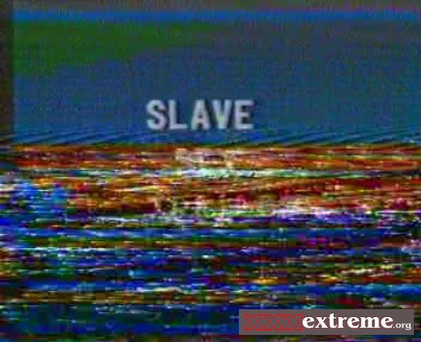 Slave Sex 2 - Tithanging [SD] 771.9 MB