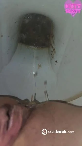 Toilet Liquid Poo Food Poisoning [UltraHD 2K] 112 MB