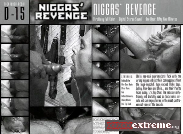 Nigga's Revenge [DVDRip] 1.1 GB
