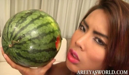 Areeya's World - Dildo Melon [HD 720p] 535.5 MB