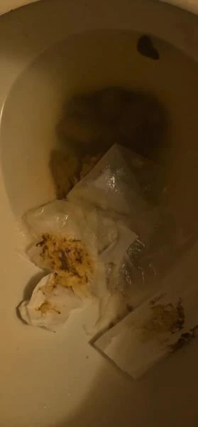 Flushes shit down the toilet [UltraHD 4K] 9.00 MB