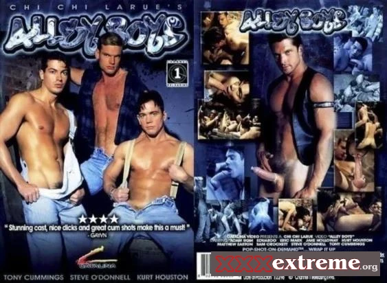 Alley Boys [DVDRip] 704.2 MB