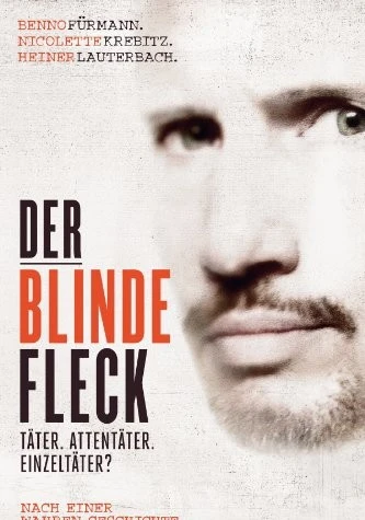 Der blinde Fleck (2013) [FullHD 1080p] 236.89 MB