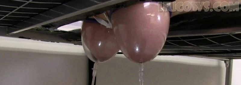 Vina udder expansion [FullHD 1080p] 1 GB