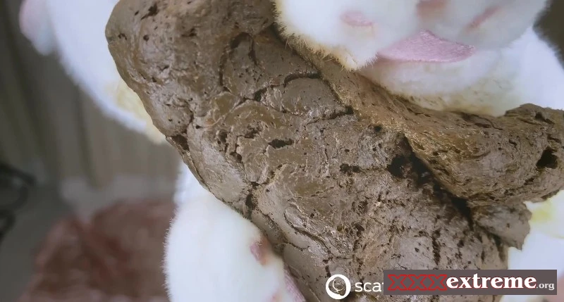Tea Party and the Sweets [FullHD 1080p] 221.24 MB