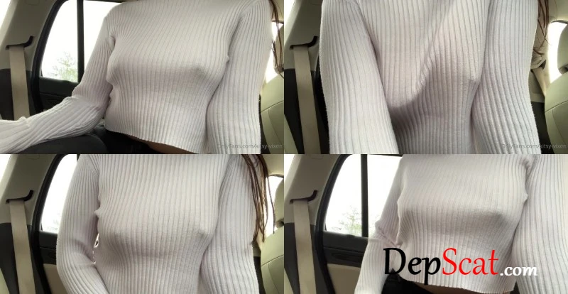 Preview of Car Farts 2 [HD 720p] 104.11 MB