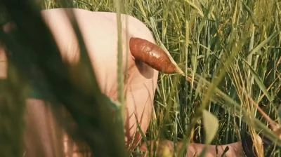 Preview of Doggystyle Shit In a Field [HD 720p] 36.0 MB