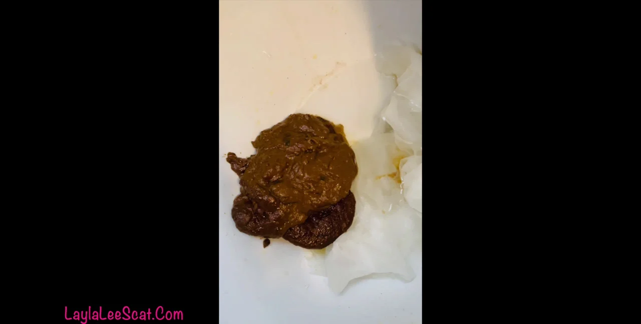 Layla Lee's Atmospheric Toilet Slave Fiesta! - Femdom Scat - Extreme Porn Video on XXXExtreme
