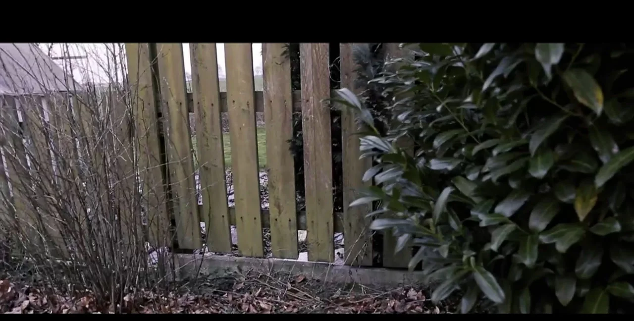Neighbor's Fence - Femdom Scat - Toilet Slave - Copro - Extreme Porn Video on XXXExtreme