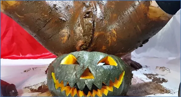 Anna Coprofield - Trick Or Treat (My Bloody Pussy Full Of Shit) - Part 2 (Scat-Shop) - Extreme Porn Video on XXXExtreme