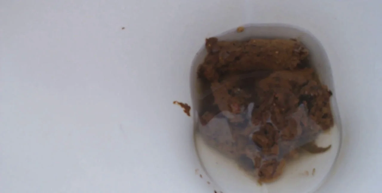 Spankmepink aka Tilly Farts: Solo Scat Toilet Slave MILF, 52 chars - Extreme Porn Video on XXXExtreme