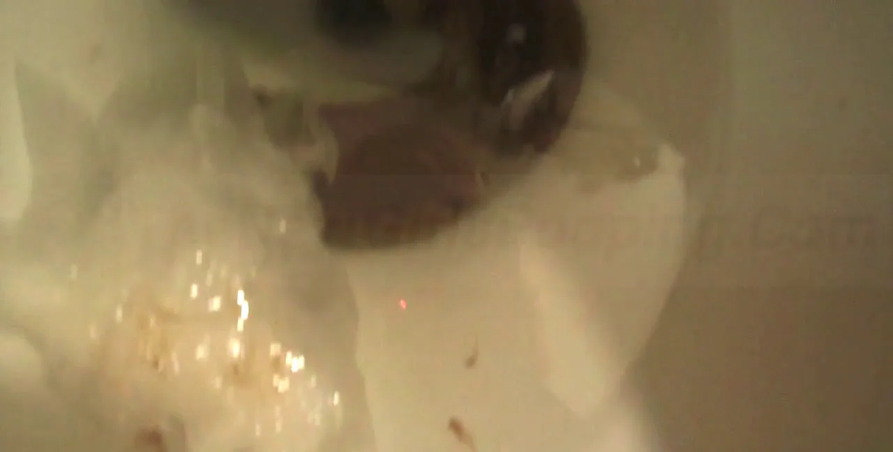Josie Dominates with Solo Scat Fetish - Femdom Scat - Toilet Slave - related extreme video on XXXExtreme