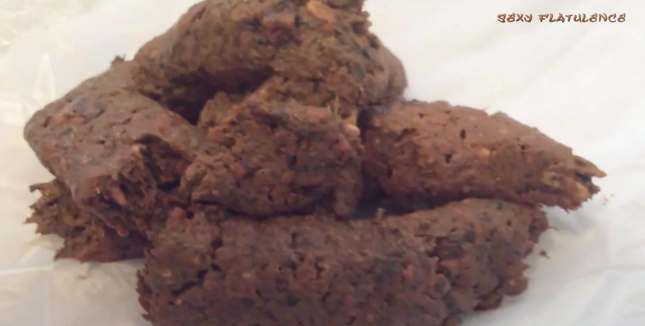 Nine Days Of Scat Porn With Sexy Flatulence - Femdom Scat - popular extreme video on XXXExtreme