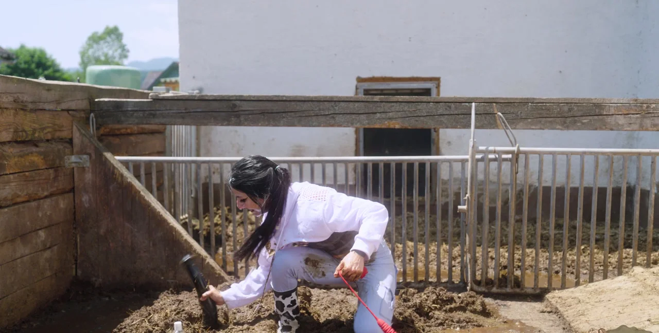 Kaitlyn Katsaros Dominates in Scat Farm Porn | Toilet Slave - popular extreme video on XXXExtreme