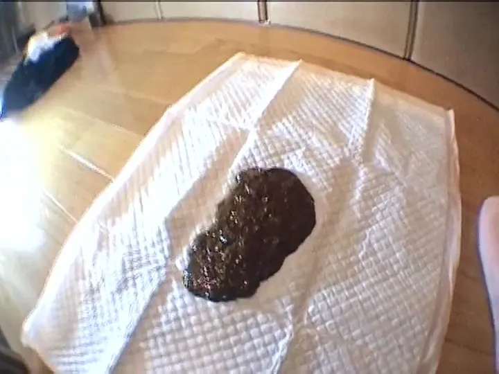 Japanese Scat Release: Long Kaviar Grind Filled with Messy Action - Extreme Porn Video on XXXExtreme