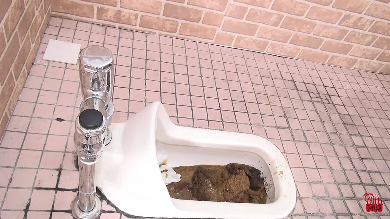 [FF-452] Stinky Poops and Clogged Toilets from JADE FullHD 1080p - Extreme Porn Video on XXXExtreme