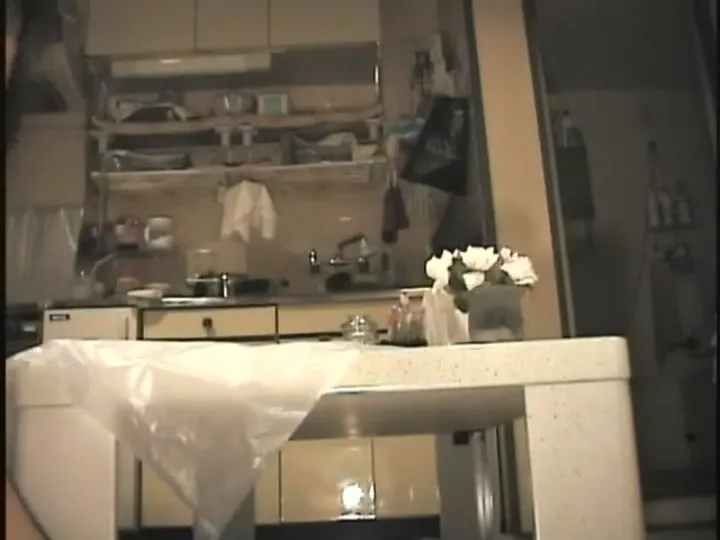 Japanese Scat Video Shows Real Asian Shitting and Smearing Action - Extreme Porn Video on XXXExtreme